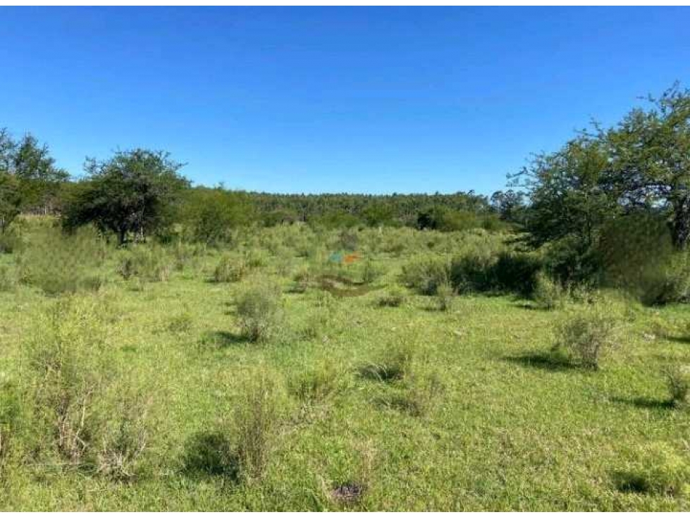 VENTA CAMPO 91 HAS MIXTAS, ENTRE RIOS, PCIA BUENOS AIRES, ARGENTINA - 2