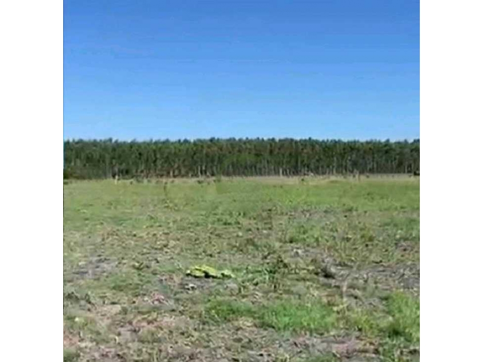 VENTA CAMPO 91 HAS MIXTAS, ENTRE RIOS, PCIA BUENOS AIRES, ARGENTINA - 3