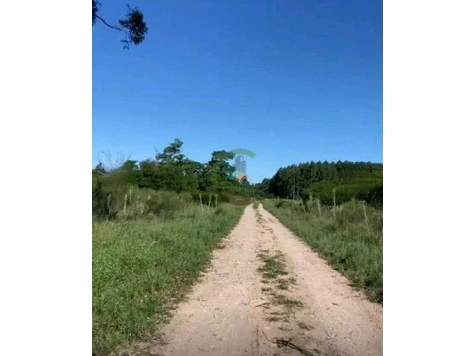 VENTA CAMPO 91 HAS MIXTAS, ENTRE RIOS, PCIA BUENOS AIRES, ARGENTINA - 4
