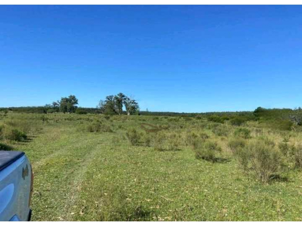 VENTA CAMPO 91 HAS MIXTAS, ENTRE RIOS, PCIA BUENOS AIRES, ARGENTINA - 5