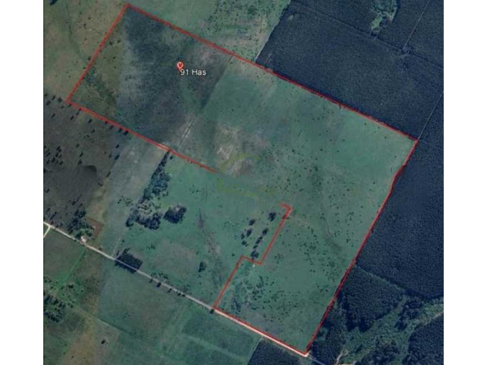 VENTA CAMPO 91 HAS MIXTAS, ENTRE RIOS, PCIA BUENOS AIRES, ARGENTINA - 6