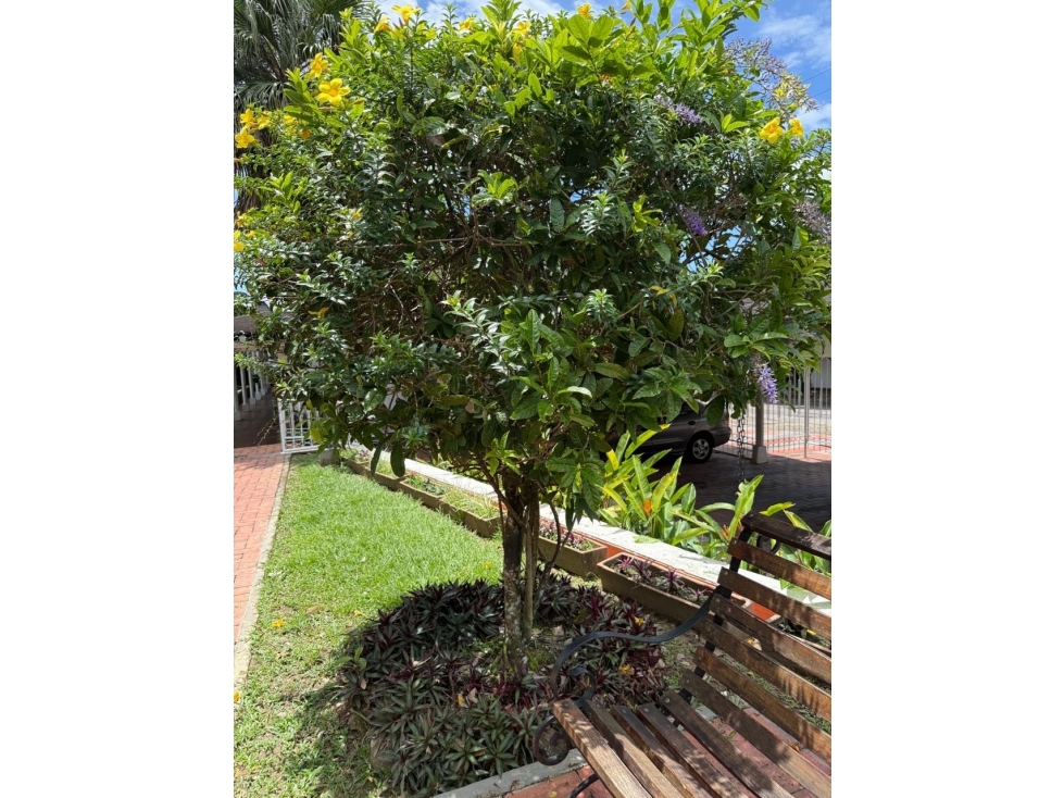 VENTA CASA B.EL BUQUE , VILLAVICENCIO-META — foto 2