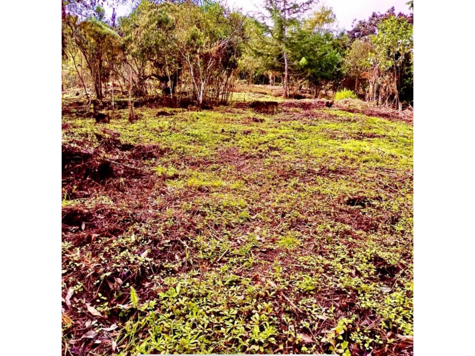 venta Casa Campestre Independiente con vista y ubicacion El Retiro — foto 3