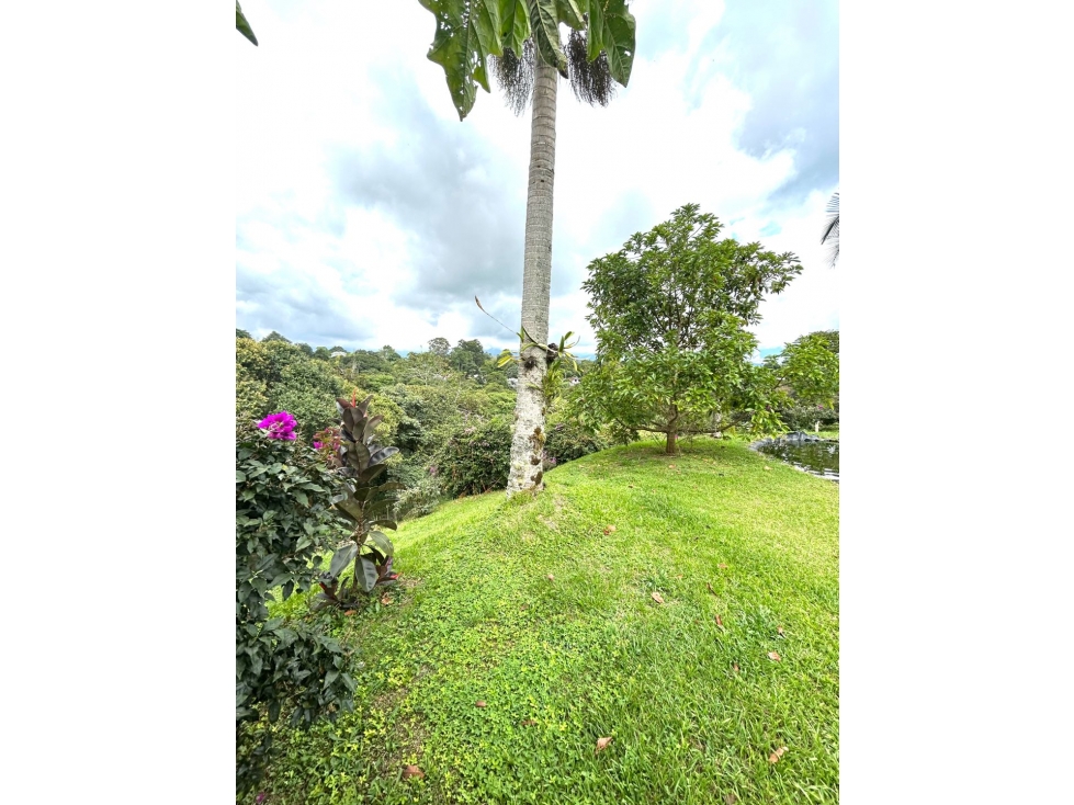 VENTA CASA CAMPESTRE CIRCASIA QUINDÍO — foto 3