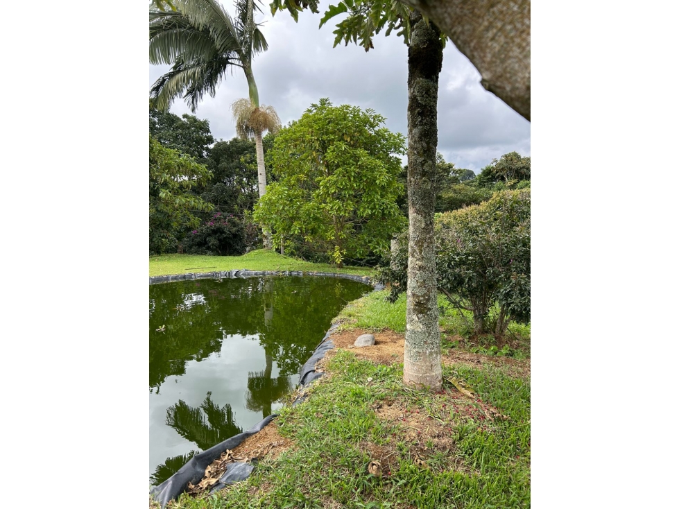 VENTA CASA CAMPESTRE CIRCASIA QUINDÍO — foto 2