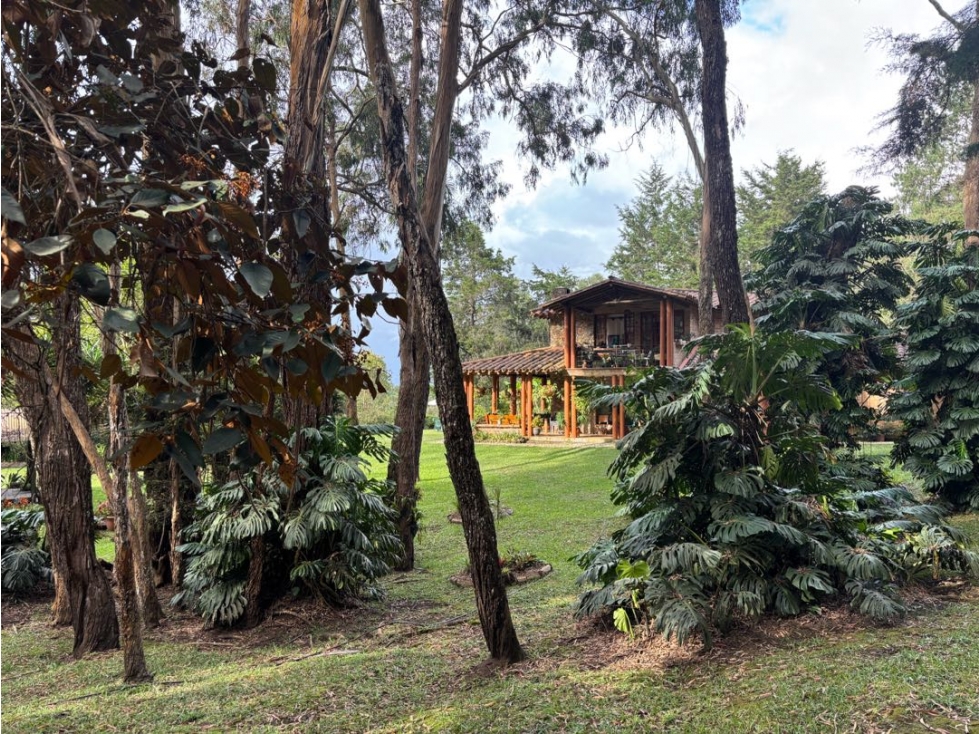 Venta casa campestre en Cabeceras con bosque y agua propia — foto 5