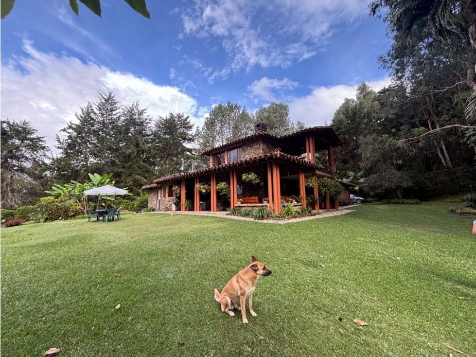 Venta casa campestre en Cabeceras con bosque y agua propia — foto 6