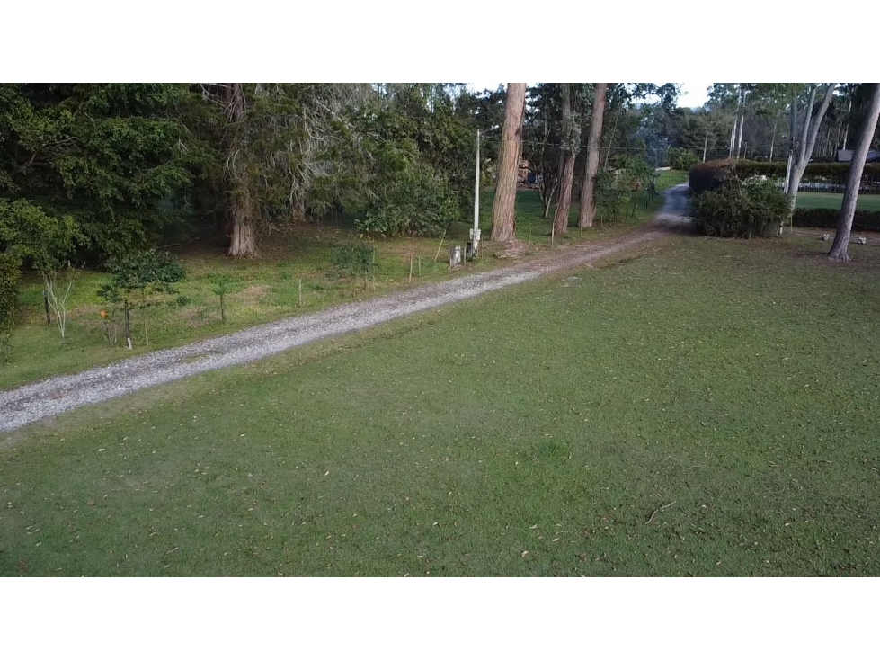 Venta lote en Llanogrande plano con casa en madera y bosque nativo — foto 2