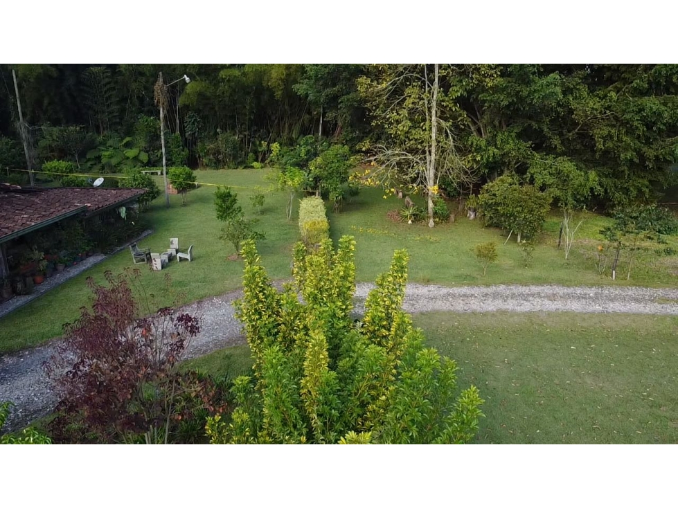 Venta lote en Llanogrande plano con casa en madera y bosque nativo — foto 3