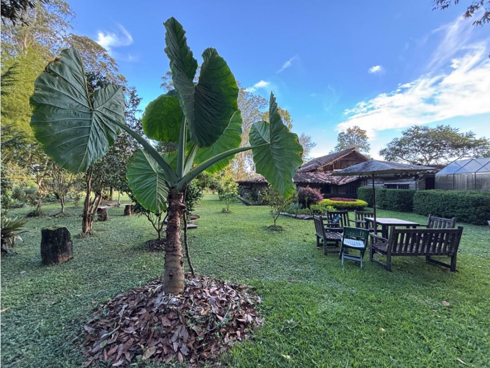 Venta lote en Llanogrande plano con casa en madera y bosque nativo — foto 6