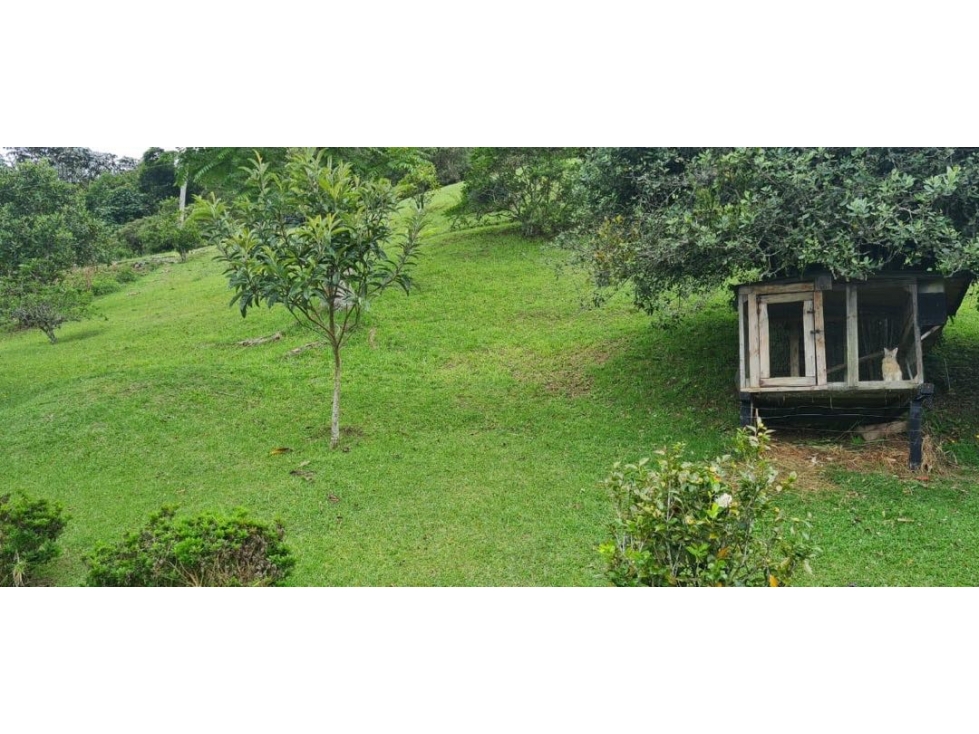 VENTA CASA CAMPESTRE EL RETIRO VÍA LA CEJA ANTIOQUIA — foto 5