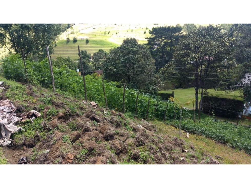 VENTA CASA CAMPESTRE EL RETIRO VÍA LA CEJA ANTIOQUIA — foto 6