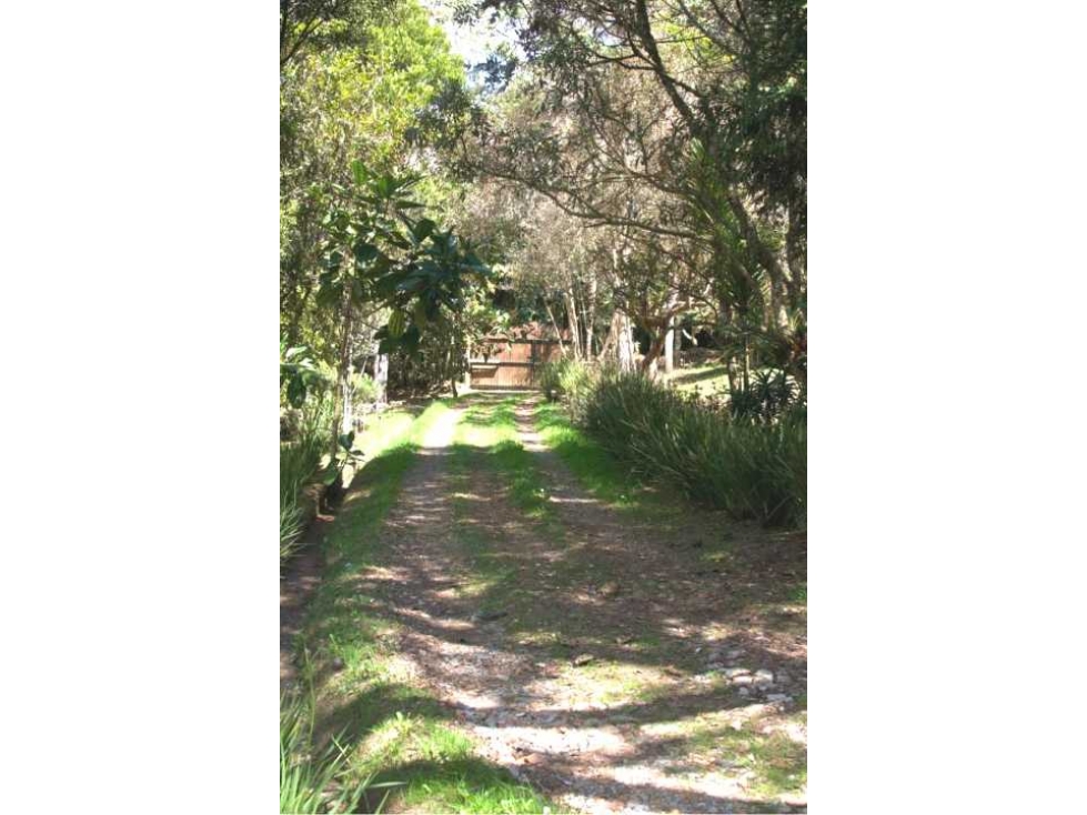 Venta, casa campestre Vereda el plan Santa Elena, 9.260 mt2 de lote! - 3