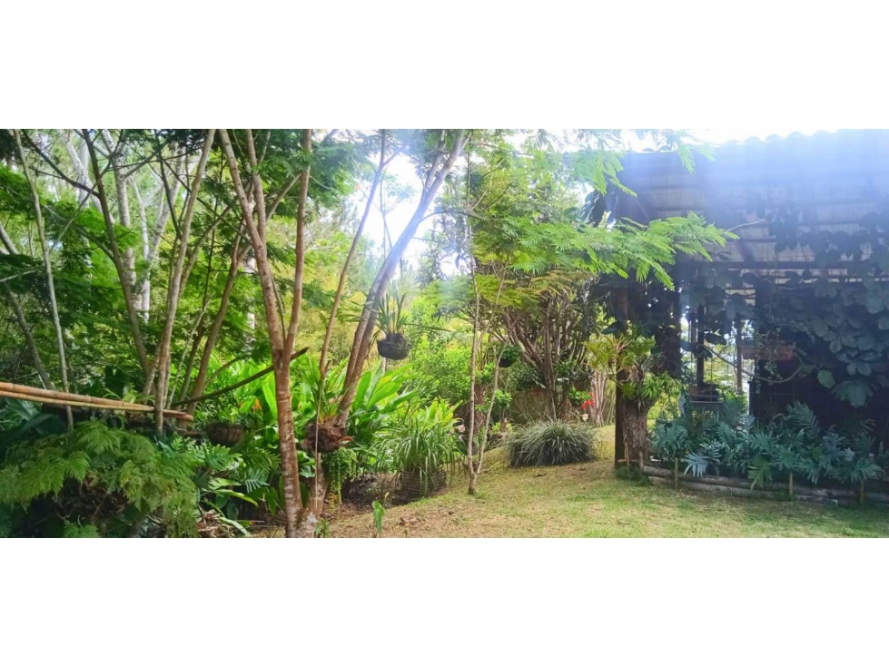 VENTA CASA CAMPESTRE VEREDA EL CARMEN DAGUA W10425309 - 4