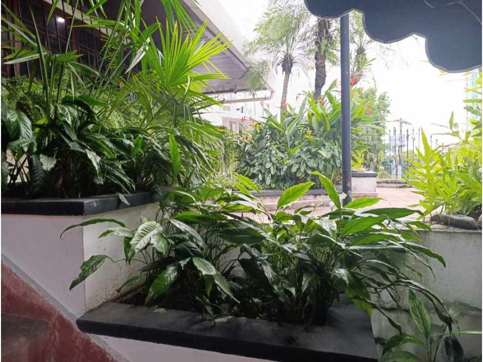 VENTA CASA COMERCIAL EN EL,CANGREJO OPORTUNIDAD DE INVERSION LT. — foto 2