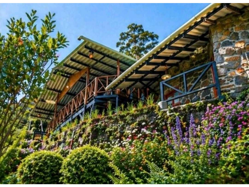 Venta casa en Minca Bellavista Sierra Nevada de Santa Marta PALO ALTO — foto 4