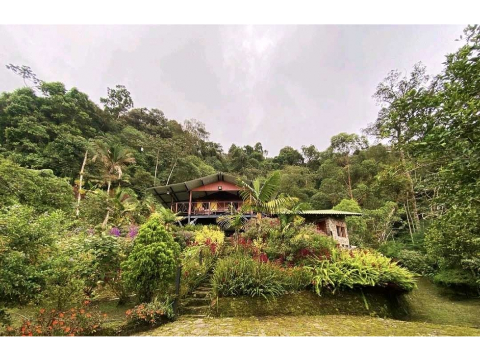 Venta casa en Minca Bellavista Sierra Nevada de Santa Marta PALO ALTO — foto 3