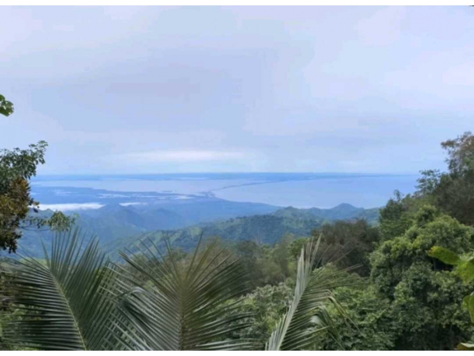 Venta casa en Minca Bellavista Sierra Nevada de Santa Marta PALO ALTO — foto 5