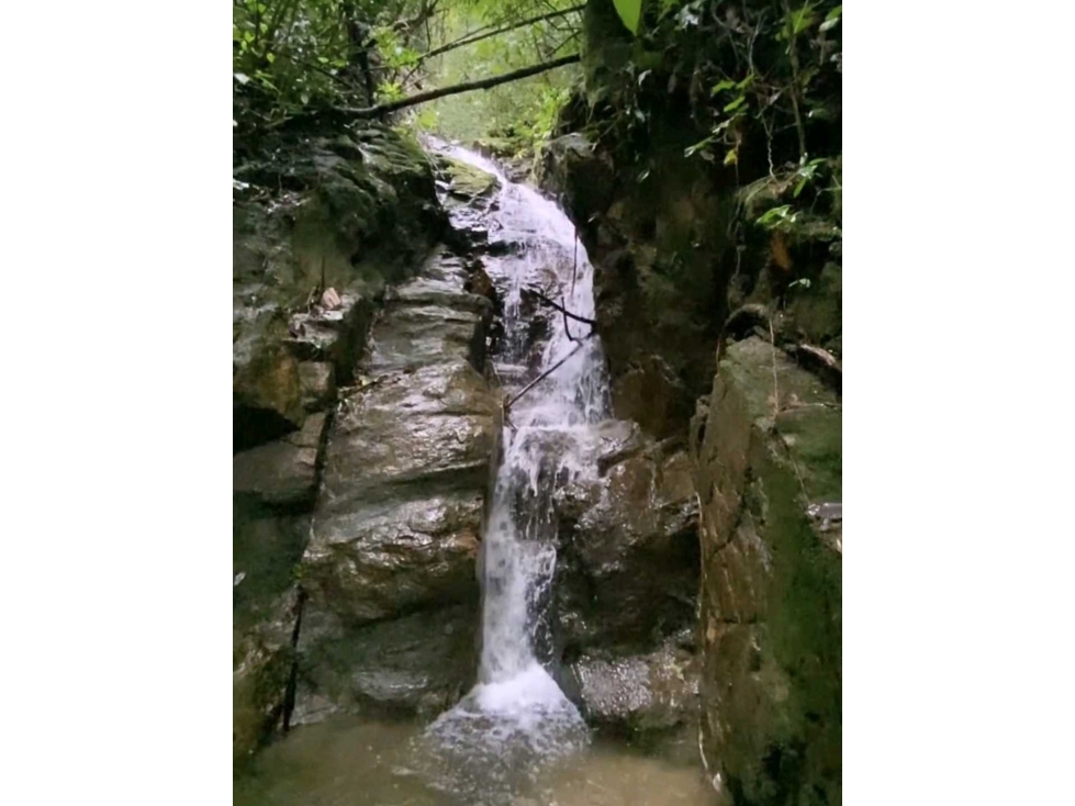 Venta casa en Minca Bellavista Sierra Nevada de Santa Marta PALO ALTO — foto 6