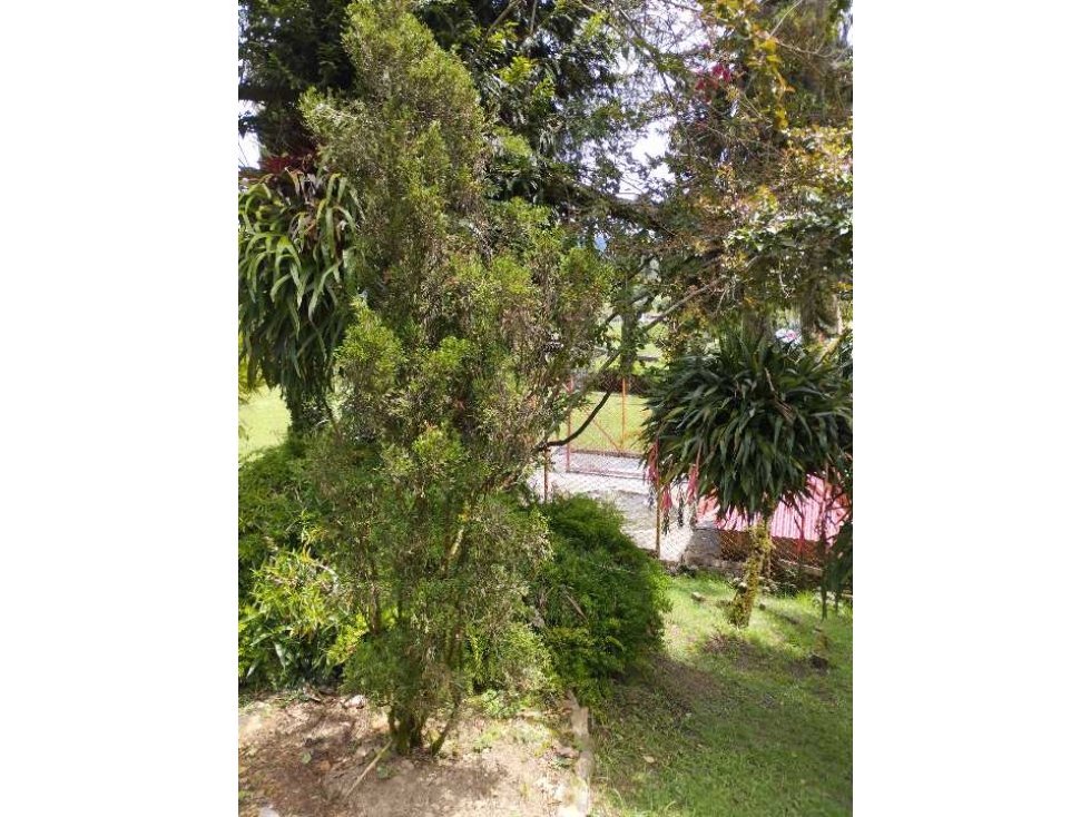 Venta casa finca Guarne Antioquia - Vereda La Clarita — foto 6