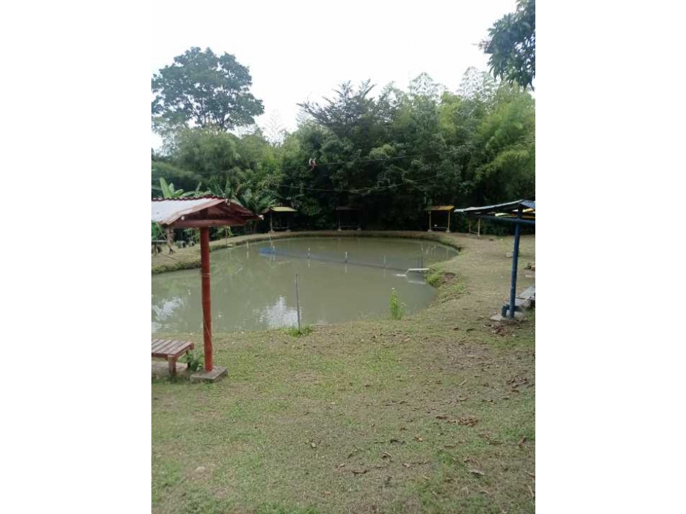 VENTA Casa Finca productiva con Dos lagos de pesca - 2