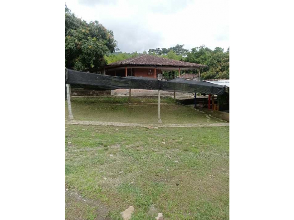 VENTA Casa Finca productiva con Dos lagos de pesca - 3