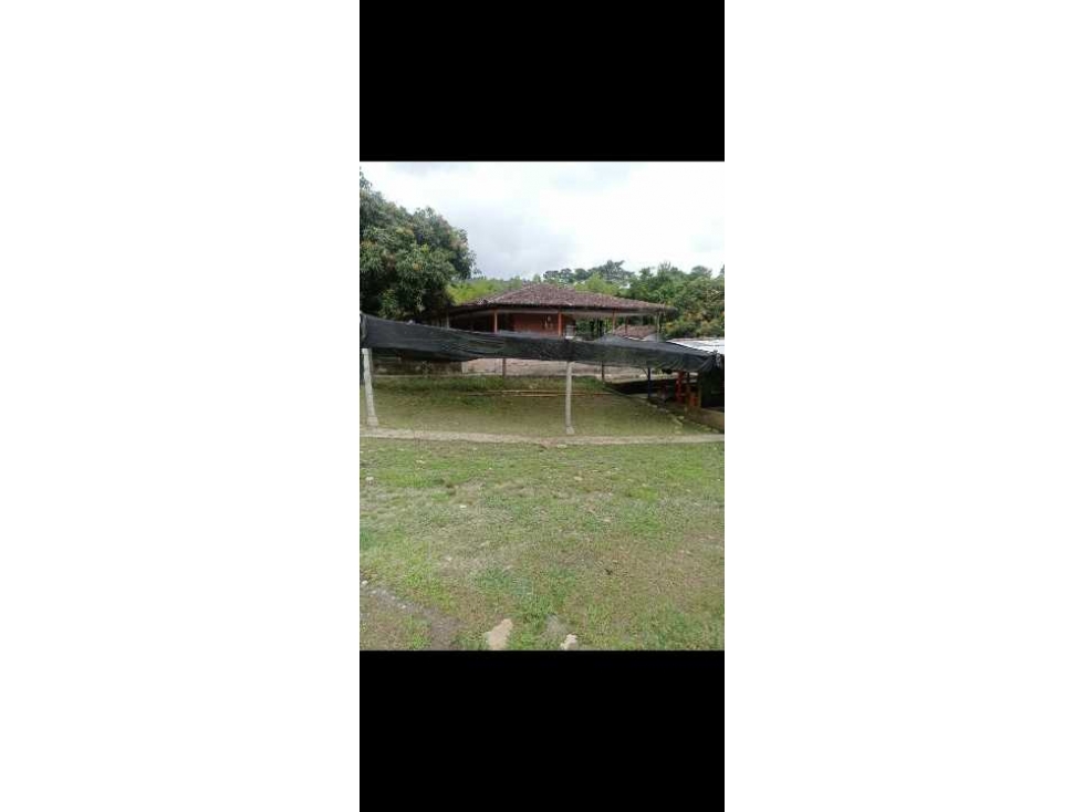 VENTA Casa Finca productiva con Dos lagos de pesca - 4