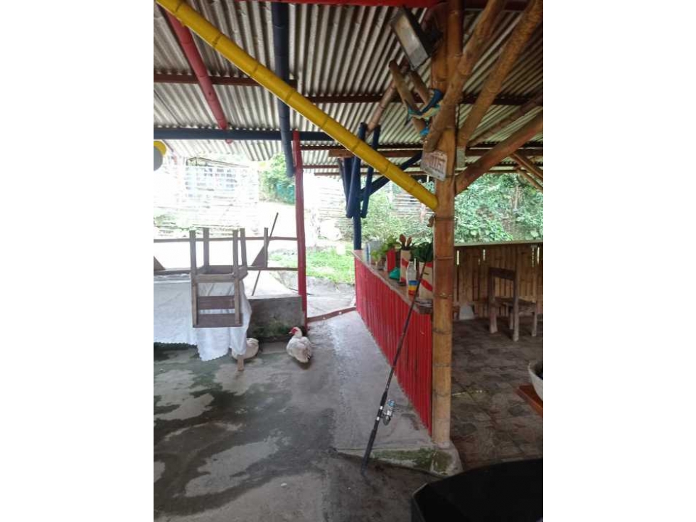 VENTA Casa Finca productiva con Dos lagos de pesca - 5