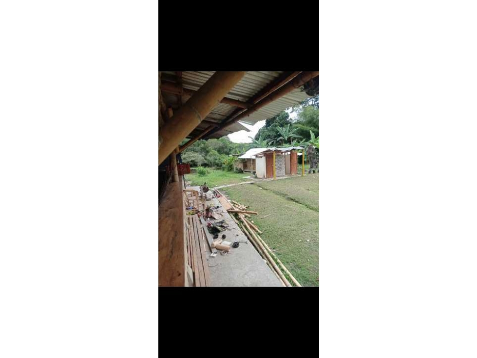 VENTA Casa Finca productiva con Dos lagos de pesca - 6