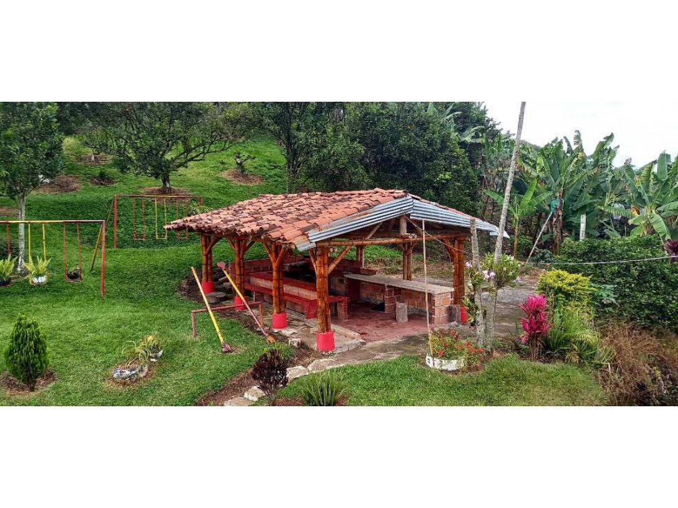 Venta Finca de Producción Palestina Caldas - 1