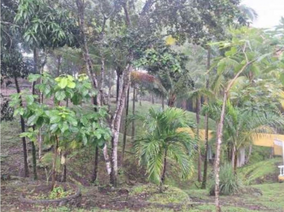 VENTA CASA LAS CUMBRES CON TERRENO 6,805M2 PISCINA CV — foto 6