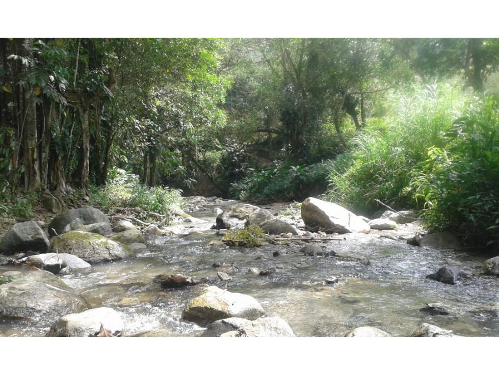 VENTA CASA LOTE MINCA CERCA a CASCADA MARINKA - MINCA - SANTA MARTA - 4