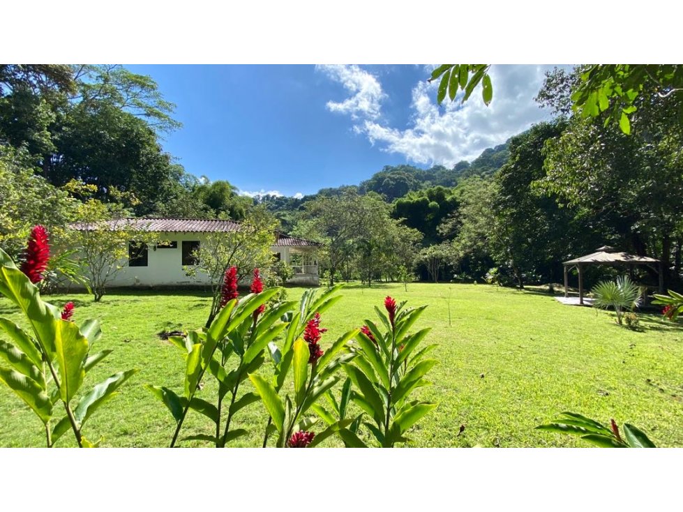 VENTA CASA LOTE MINCA CERCA a CASCADA MARINKA - MINCA - SANTA MARTA - 5