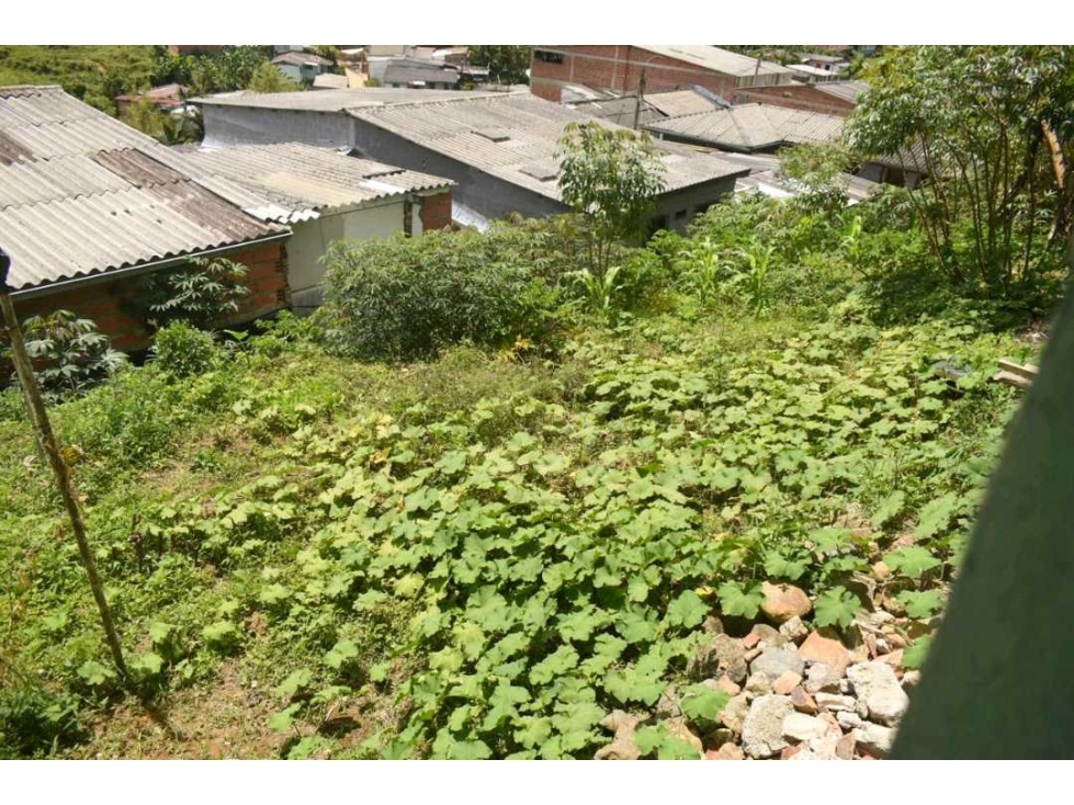 Venta Casa Lote Pacora Caldas - 3