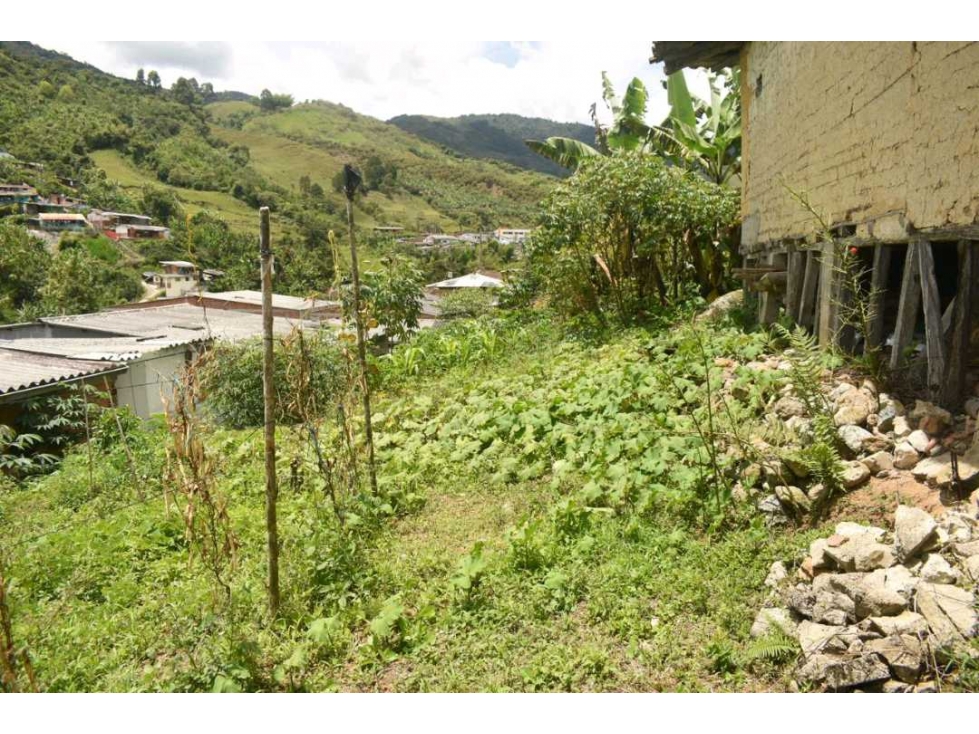 Venta Casa Lote Pacora Caldas - 5