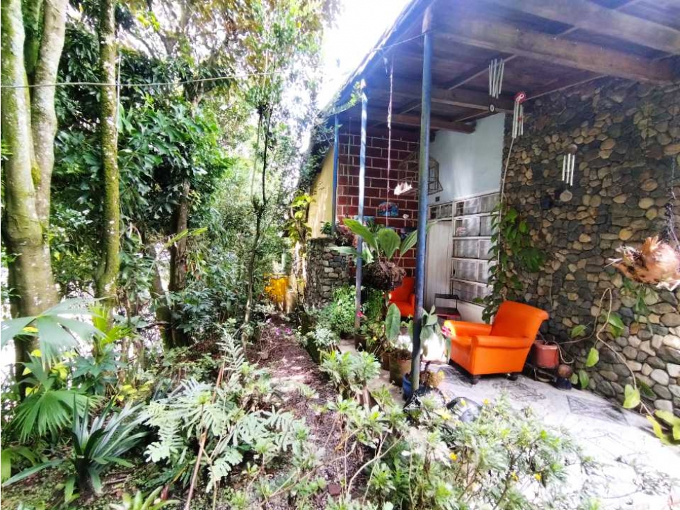 Venta Casa Lote Sabaneta San José P1 C7107244 — foto 5