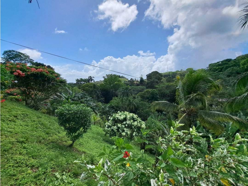 VENTA CASA RÍO GATÚN COLÓN AMPLIO TERRENO VV - 3