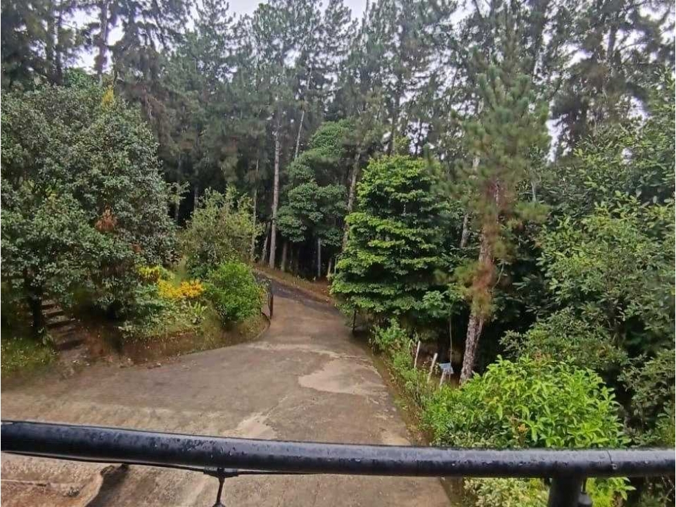 VENTA CASA RODEADA DE NATURALEZA EN ALTOS DE CERRO AZUL NRR — foto 3