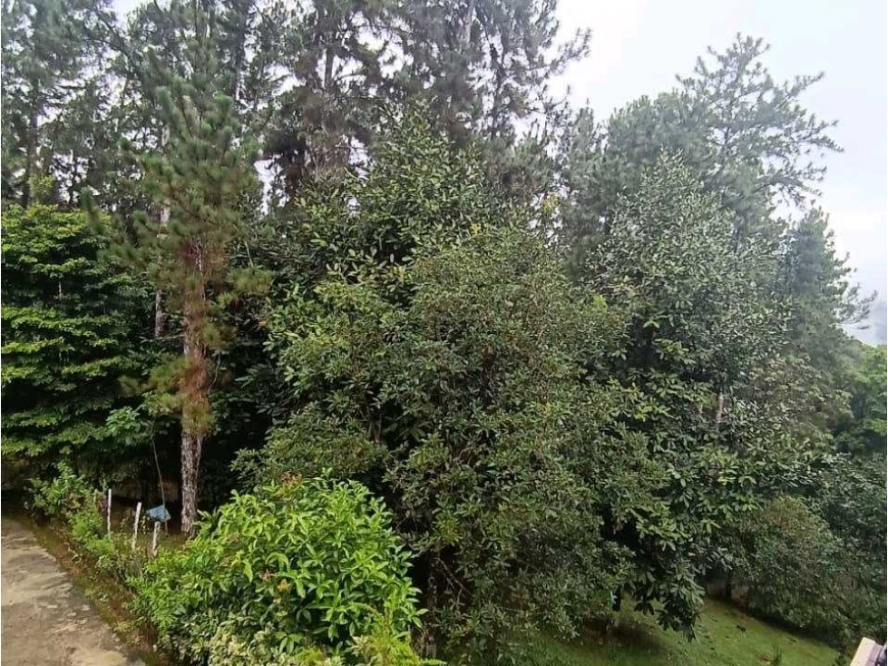 VENTA CASA RODEADA DE NATURALEZA EN ALTOS DE CERRO AZUL NRR — foto 4