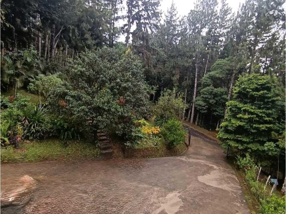VENTA CASA RODEADA DE NATURALEZA EN ALTOS DE CERRO AZUL NRR — foto 5