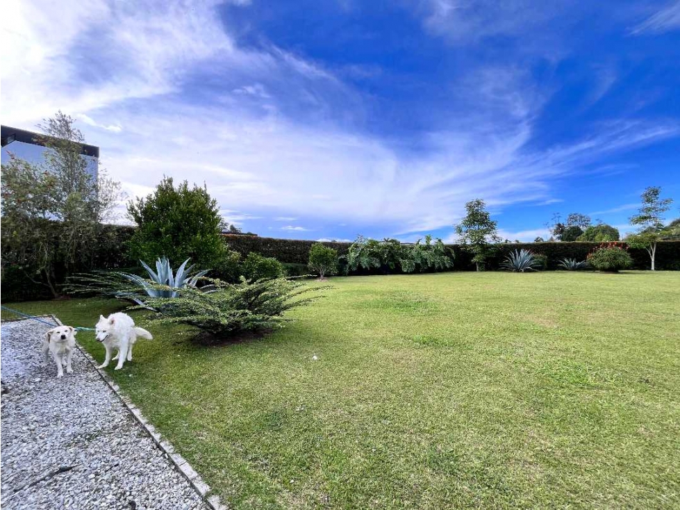 Venta casa SIBARIS Llano Grande 1 nivel 353 metros lote 2300 Hermosa — foto 5