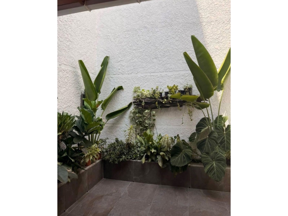 Venta CASA UNIFAMILIAR en GUAYABAL — foto 4