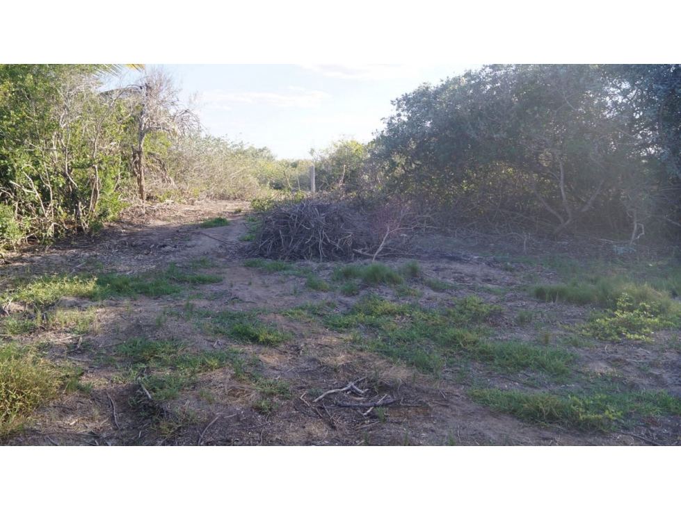 Venta Casa de un piso en Chuburna Puerto Mérida Yucatan - 6