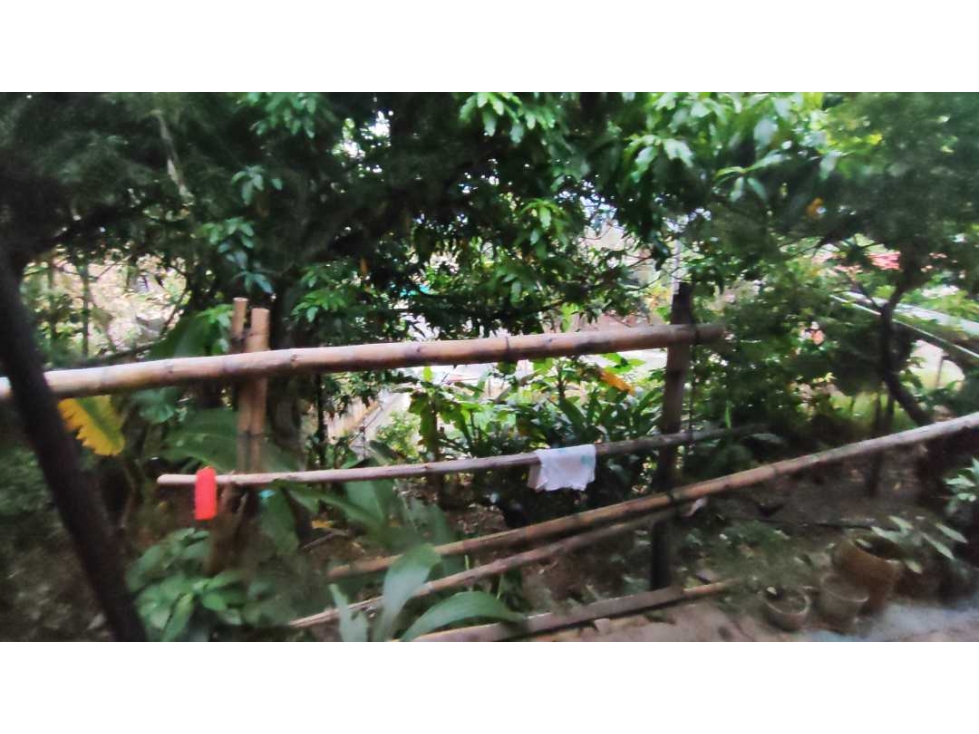 Venta casalote de 797 M2 en 220 mill en La Mesa Cund Colombia. - 6