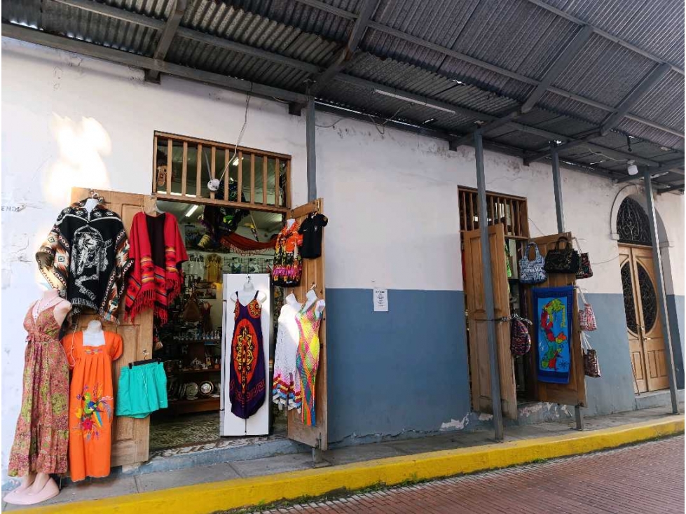 VENTA CASA EN CASCO ANTIGUO , 1352 MT 4 LOCALES COMERCIALES LT - 1