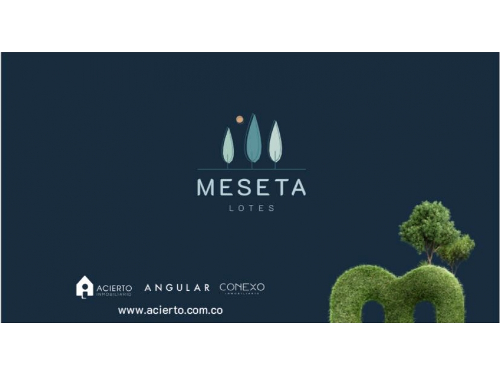 Venta Cesión de Derechos Lote Marinilla Sector Alcaravanes 90 m2 - 1