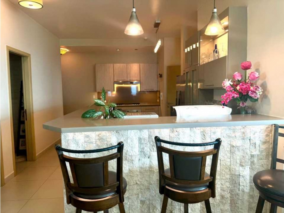 VENTA CONDOMINIO EN BIJAO CON VISTA A LA PLAYA, ÚNICO EN SU CLASE - 2
