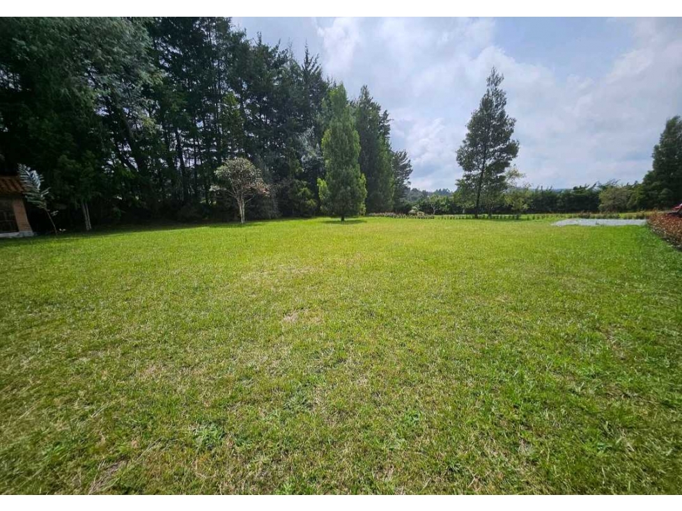 VENTA DE 2 LOTES EN EL ALTO DE PALMAS EN PARCELACIÓN. — foto 3