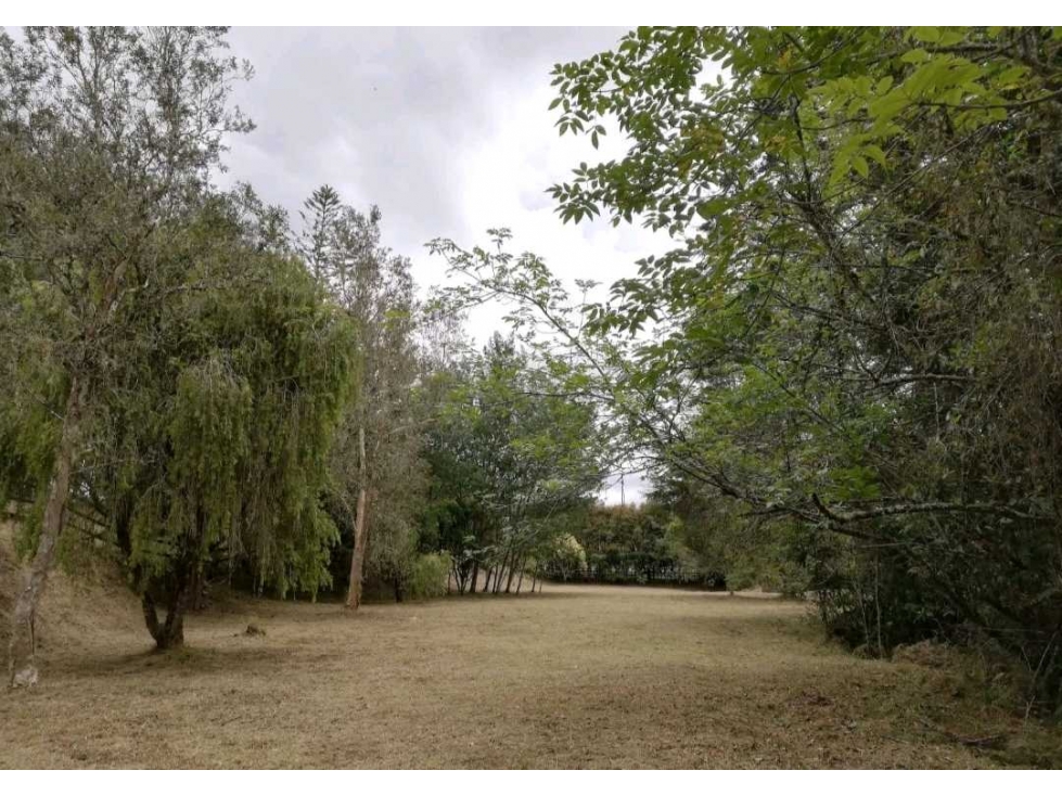 VENTA DE 2 LOTES EN EL ALTO DE PALMAS EN PARCELACIÓN. — foto 4