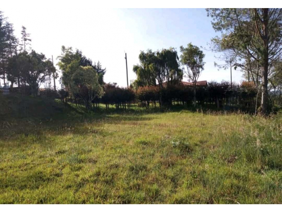 VENTA DE 2 LOTES EN EL ALTO DE PALMAS EN PARCELACIÓN. — foto 5